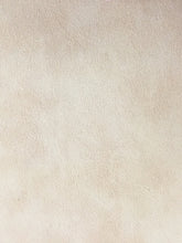Load image into Gallery viewer, Antique Vinyls
