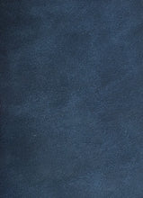 Load image into Gallery viewer, Antique Vinyls
