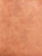 Load image into Gallery viewer, Antique Vinyls
