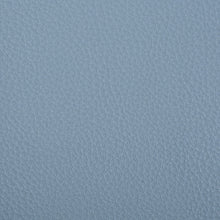 Load image into Gallery viewer, Blue Vinyl
