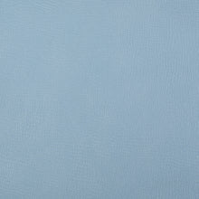 Load image into Gallery viewer, Blue Vinyl
